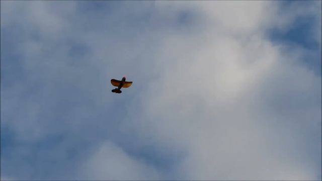 FT Old Speedster Com Ailerons HD