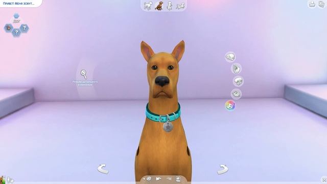 Скуби-Ду создание питомца и Шэгги | The Sims 4 Кошки и Собаки смотреть онлайн