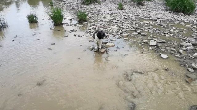 Река голубая - Река глиняная - Голубая глина и ее польза - три дня на Псекупсе смотреть онлайн