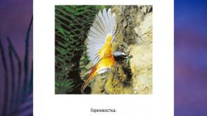 "Весна", Окружающий мир 1 класс, с.120-121, Планета знаний.