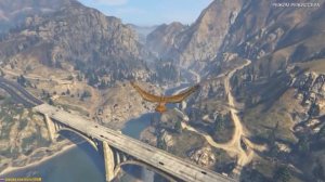 GTA 5 - Лофофора - Ястреб (Как найти лофофору)