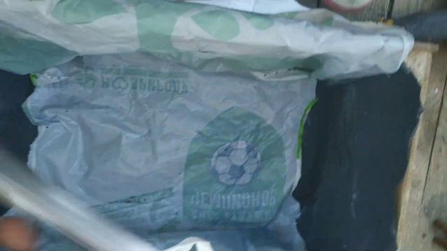 Мангольд в ящике Зеппа Хольцера.Chard in "Sepp Holzer" box смотреть онлайн