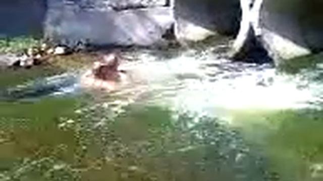 Бабульки и грязевая ванна смотреть онлайн