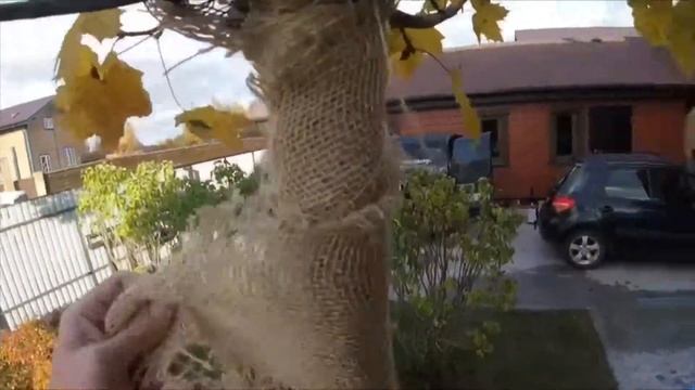 Уход за садом осенью перед зимой смотреть онлайн