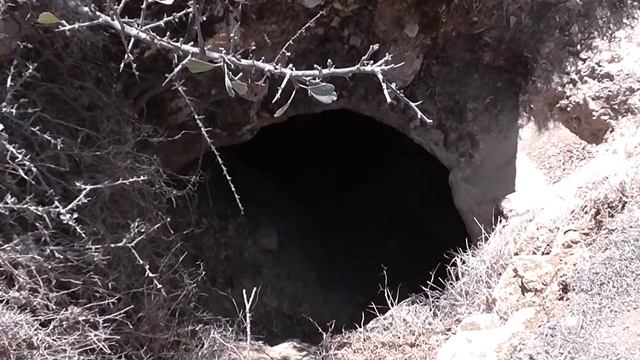 Псалом. Габриэль сын Авраама - Гимн