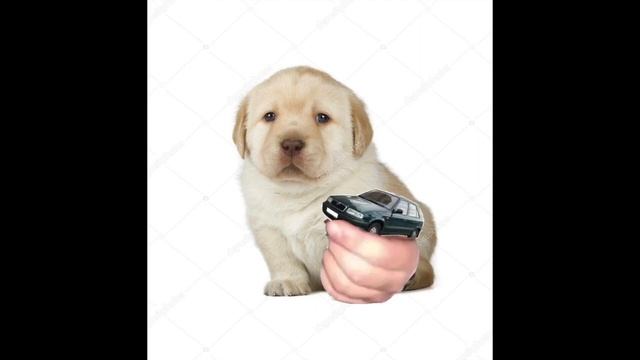 czech quieres смотреть онлайн