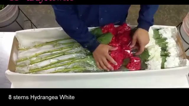 IBuyFlowers - MCG Red Hydrangea And Ruscus Box  Of The Month January