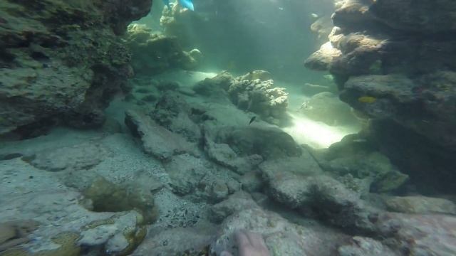 Diving Trip Dahab Sinai  2018