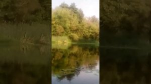 Рыбалка на реке Оскол часть 5