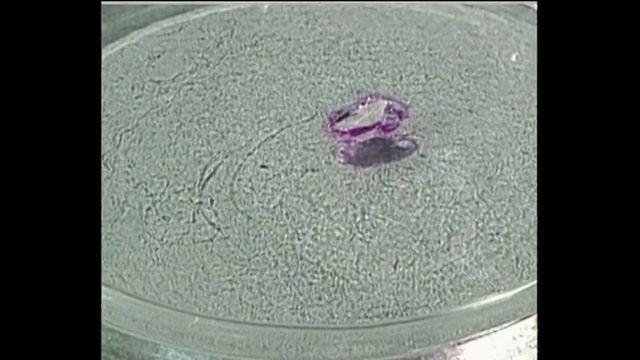 Лабораторные опыты (СПИРТЫ) смотреть онлайн