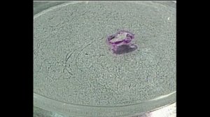 Лабораторные опыты (СПИРТЫ)