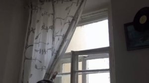 Типичная коммуналка, или в Питере жить