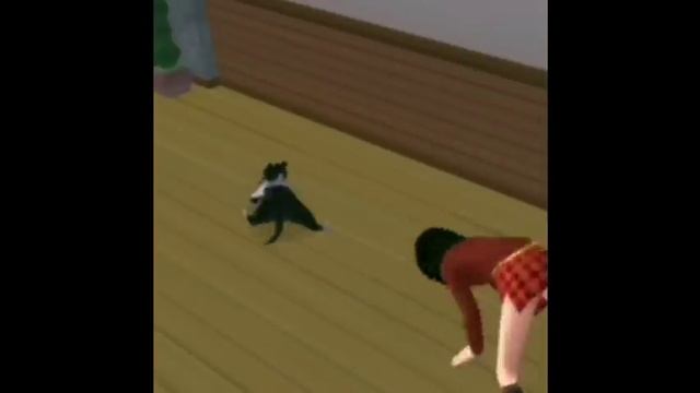 Cat breakdancing, but the girl breakdances too смотреть онлайн