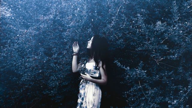 Tim Schaufert - The Others