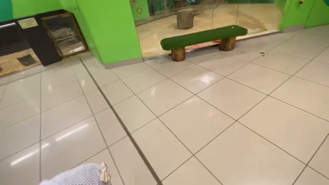 Семейные выходные🌿прогулка по городу🌿отдых на даче🌿зоопарк🌿поехали на озеро #многодетнаясемья смотреть онлайн