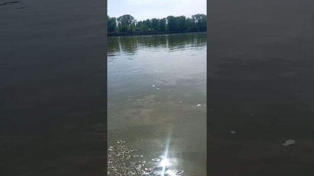 лодочный мотор Toyama 3.6 идеальный комплект для одного(хороший показатель скорости)