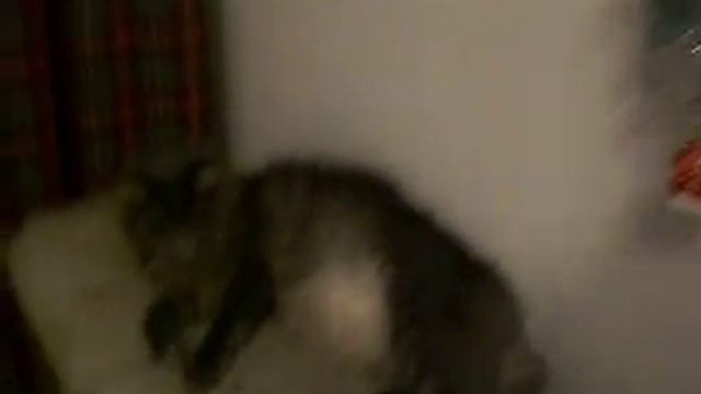Часы для Нового года смотреть онлайн