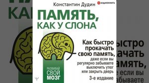 Память, как у слона. Как быстро прокачать свою память, даже если вы регулярно забываете выключить …