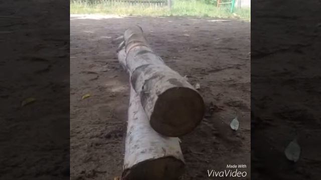 Собачий Конкур❤️🐶 смотреть онлайн