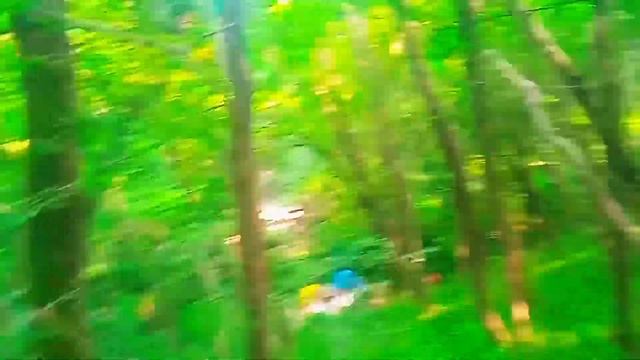 Туапсе. Тропа к мысу Кадош. Однако мы так и не дошли.