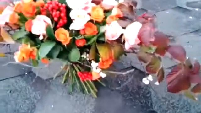 Экзаменационная работа моей ученицы @sashasanaeva смотреть онлайн