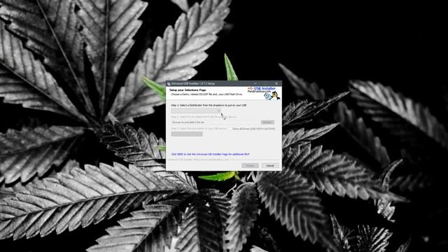 Как создать загрузочную флешку Live USB с Kali linux без ошибки ldlinux.c32 смотреть онлайн