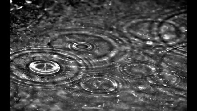 Zen Teacher Rafe Martin, Endless Path Zendo - Aitken Roshi and the Sound of Raindrops смотреть онлайн