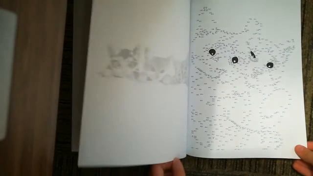 Обзор на раскраску Очаровательные котята по точкам + раскрашиваем вместе смотреть онлайн