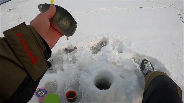 Очень Хороший Клёв Окуня. Зимняя Рыбалка На Окуня. Зимняя Рыбалка 2022. Зимняя Карельская Рыбалка. смотреть онлайн