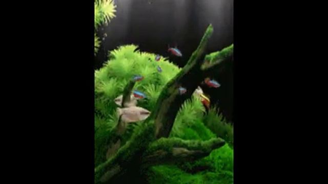 Важно! Как выйти из мОрока и перестать быть лохом смотреть онлайн