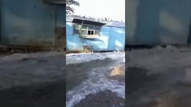 Бакинские голуби. СКО смотреть онлайн