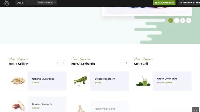 Oars - Creative Organic Store and Fresh Food WordPress Theme смотреть онлайн