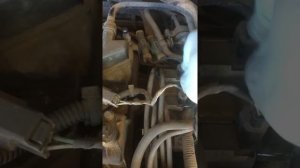 Как определить что стучат вихревые заслонки Форд фокус, мазда#стукдвигателя#причиныстука