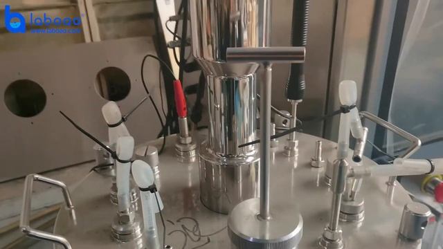 Micro Glass Bioreactor Fermenter - LABOAO смотреть онлайн