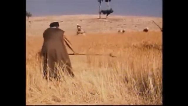 Hasad (Hoji Bayram Valiy) - Film