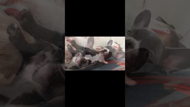 глазки не открываются, зато ночью???? смотреть онлайн