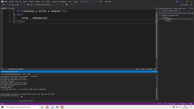 Gitlab 2 создание материала, новая ветка, с компа на сервер.mp4