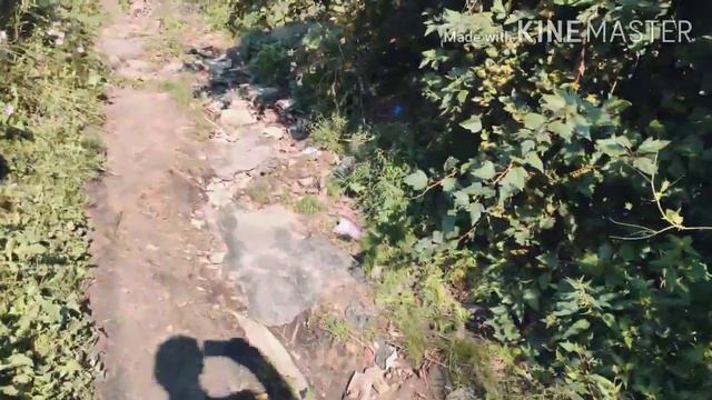 12.09.2020г. г.Рославль,ул.Красина,Разбитая улица! смотреть онлайн