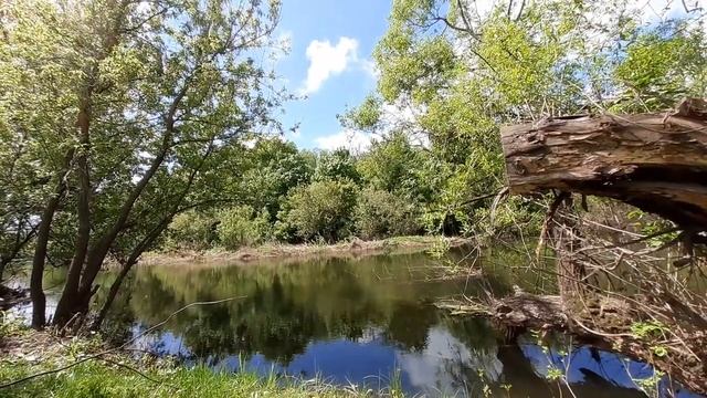 #59 Река Карай после чистки.Село Мордовский Карай смотреть онлайн