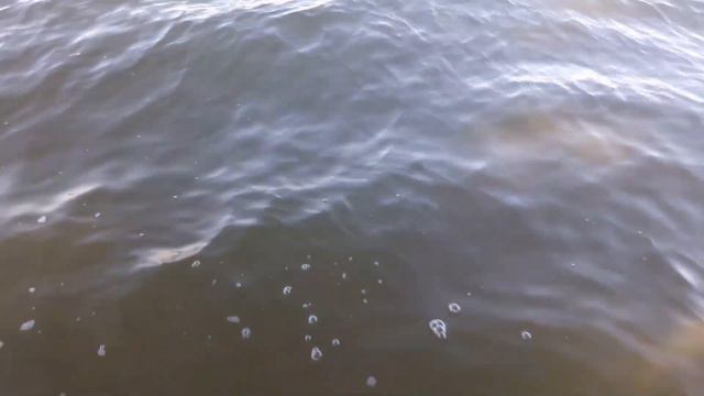Каховское водохранилище. Благовещенка. Запорожская обл. смотреть онлайн