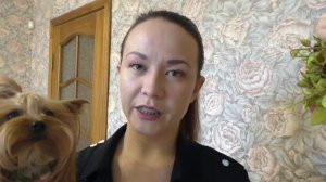 Что нужно купить для щенка?