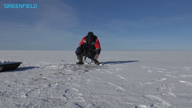 Зимняя Рыбалка Чудское Озеро д. Луневщина 18+ смотреть онлайн