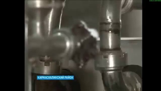 Миф или реальность в подделке сгущенки карламанской смотреть онлайн