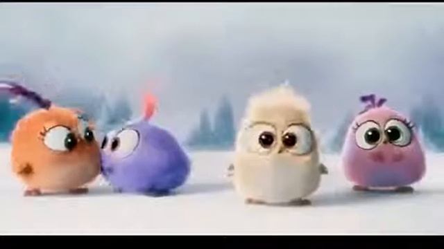 Смешные птички смотреть онлайн