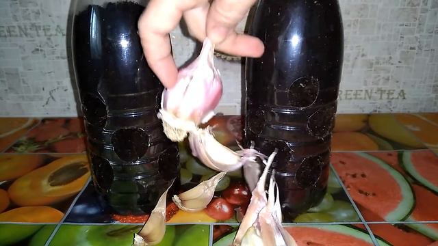 Лук и чеснок на тесном окне смотреть онлайн