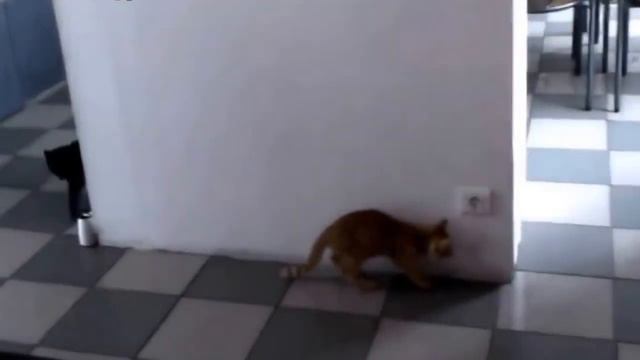 Вот, что значит жизненный опыт смотреть онлайн