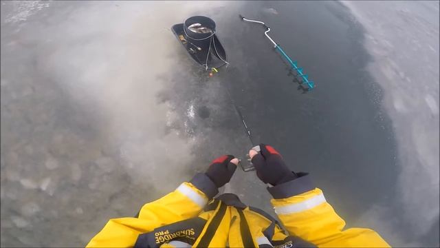 Веселая ловля окуня на чёрта (Куршский залив, январь 2017 г.) смотреть онлайн