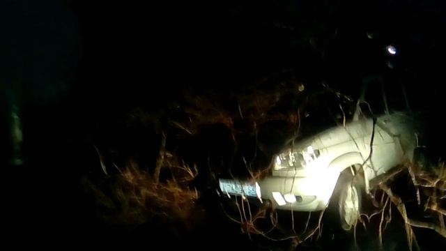 На машину упало дерево смотреть онлайн
