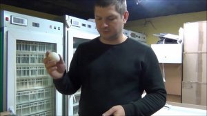 Перегородки в классический лоток для инкубаторов Норма или Блиц