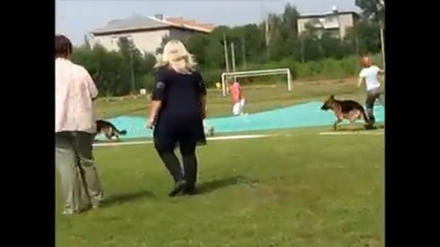 Autbek Fraer at the show in the ring "Novosibirsk-2012", Junior Candidate to Club Champion Breed смотреть онлайн